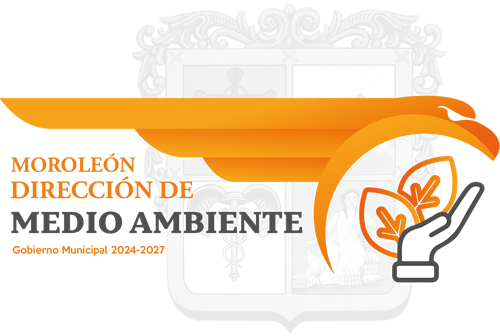 DIRECCIÓN DE MEDIO AMBIENTE